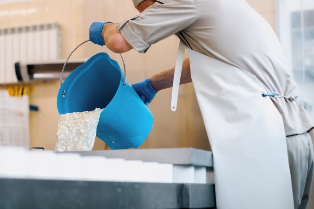 cheese maker pours fresh cheese into molds for making brie cheese craft cheese production